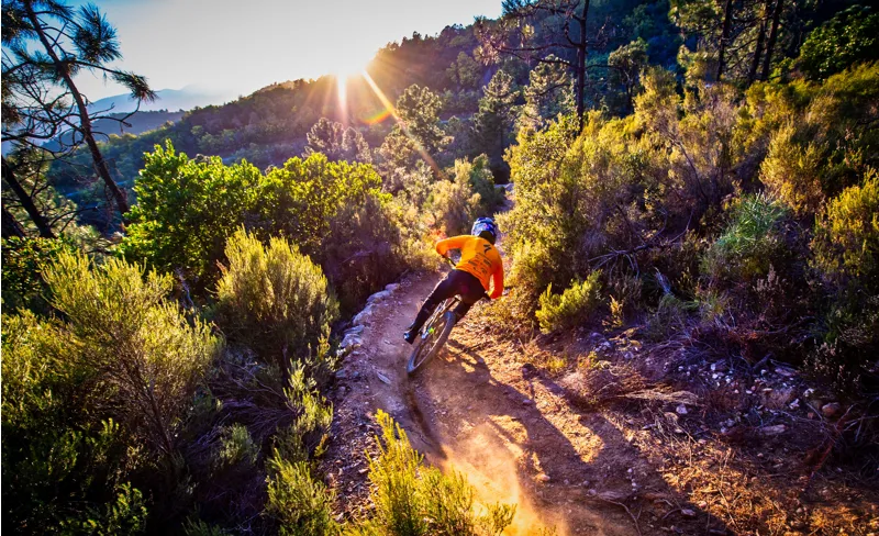 Specialized Demo Race 2020 DH Full Suspension Mountain Bike - Black-8