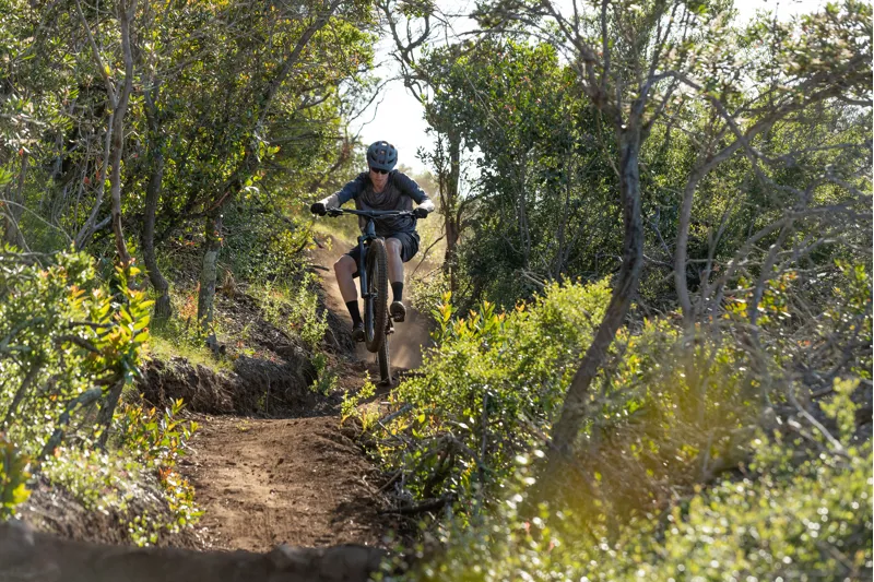 Giant Trance Advanced Pro 29 1 2020 Full Suspension MTB - Black-1