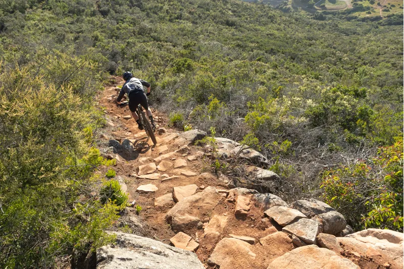 Giant Trance Advanced Pro 29 1 2020 Full Suspension MTB - Black-5