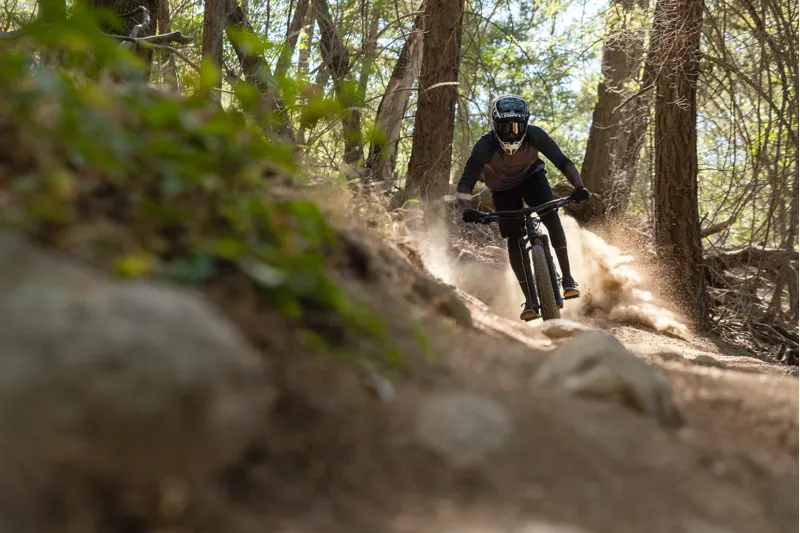 Giant Reign 29 1 2020 Full Suspension Mountain Bike - Galaxy-5