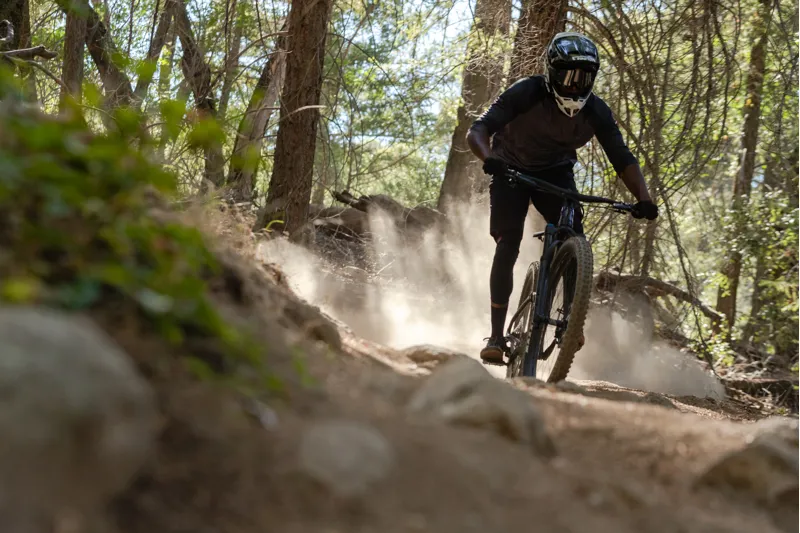 Giant Reign 29 1 2020 Full Suspension Mountain Bike - Galaxy-6