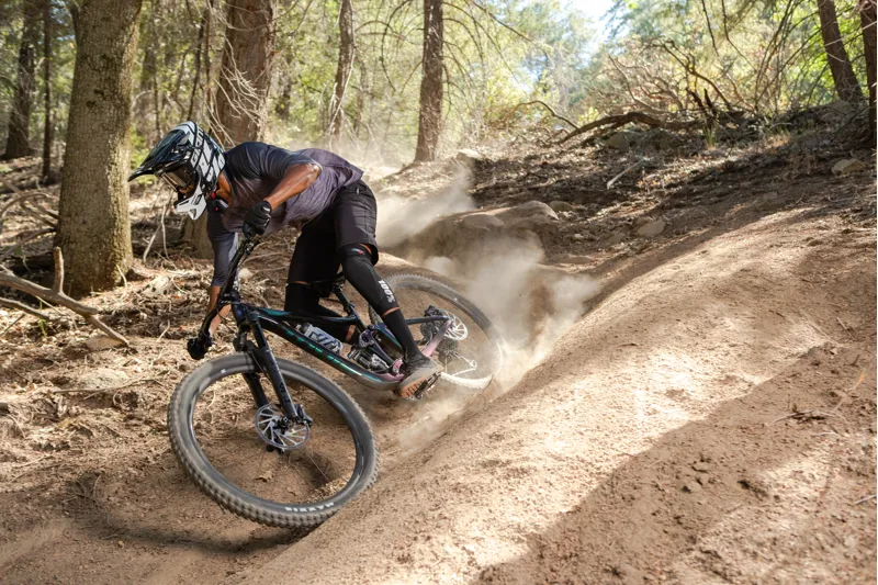 Giant Reign 29 1 2020 Full Suspension Mountain Bike - Galaxy-8