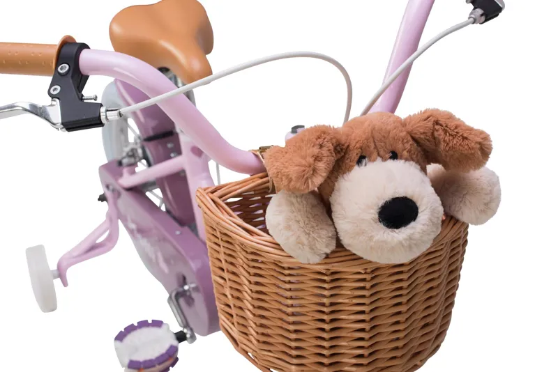 raleigh molli bike 14