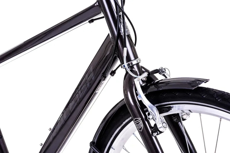 mens raleigh pioneer bike