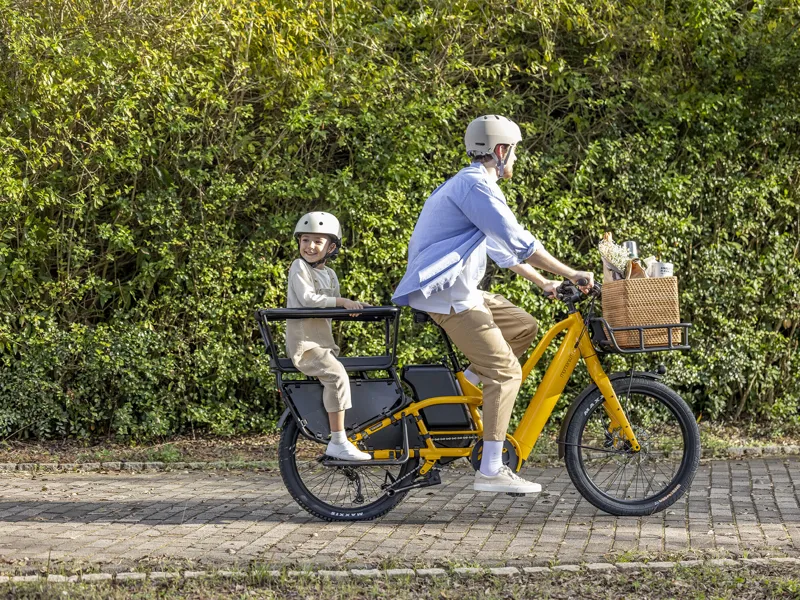 Momentum PakYak E+ Foot Rest Set - Black-4