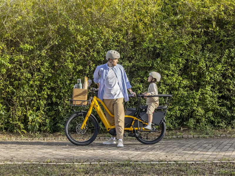 Momentum PakYak E+ Passenger Safety Bars - Black-4