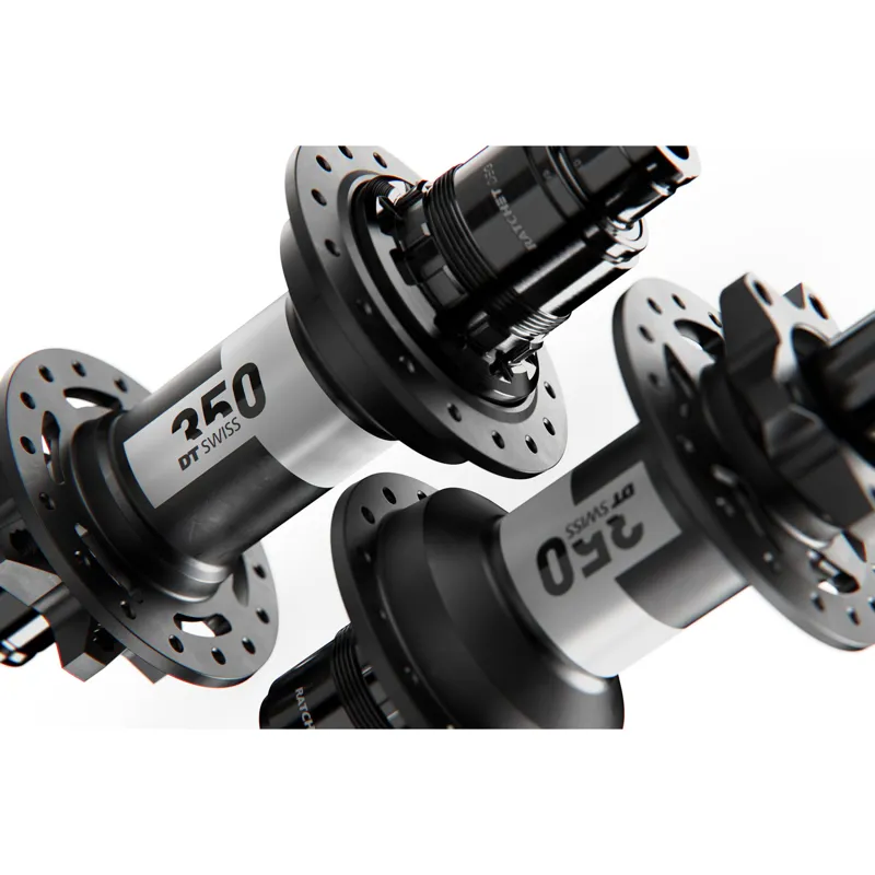 Dt Swiss 350 DEG Classic 6 Bolt 148 x 12mm Boost 28H Micro Spline MTB Hub-1