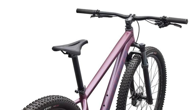 Specialized Rockhopper Expert 2026 Hardtail Mountain Bile - Quartz-3