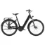 Trek District+ 4 725wh Coaster Low Step Electric Bike - Trek Black