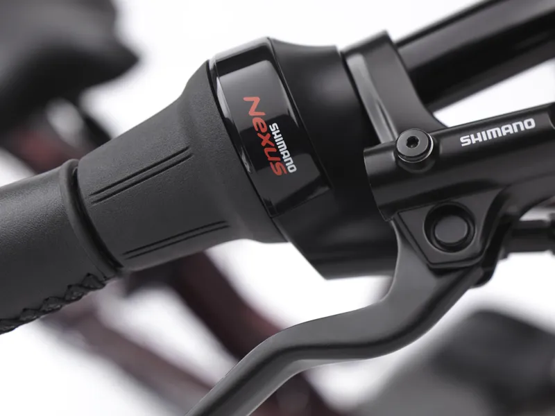 Electra Townie Commute Go 5i Step Thru 2025 Women's Electric Bike - Medium - Oxblood-8