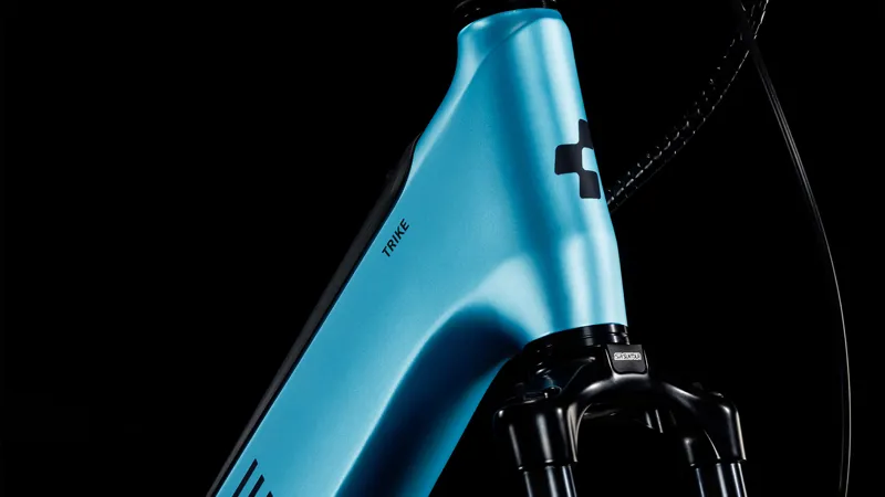 Cube Trike Hybrid Family 750 20/24W 2026 Electric Cargo Bike - Blue-2