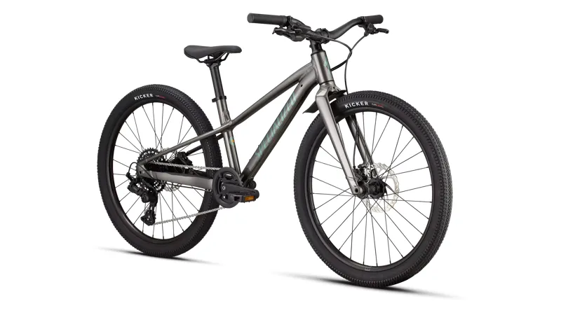 Specialized Riprock 24 2026 Junior Bike - Smoke/Fjord-1