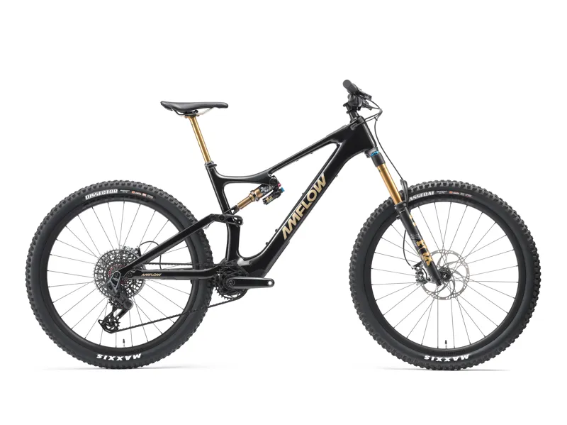 Amflow PL Carbon Pro 800Wh 2026 Electric Mountain Bike - Cosmic Black