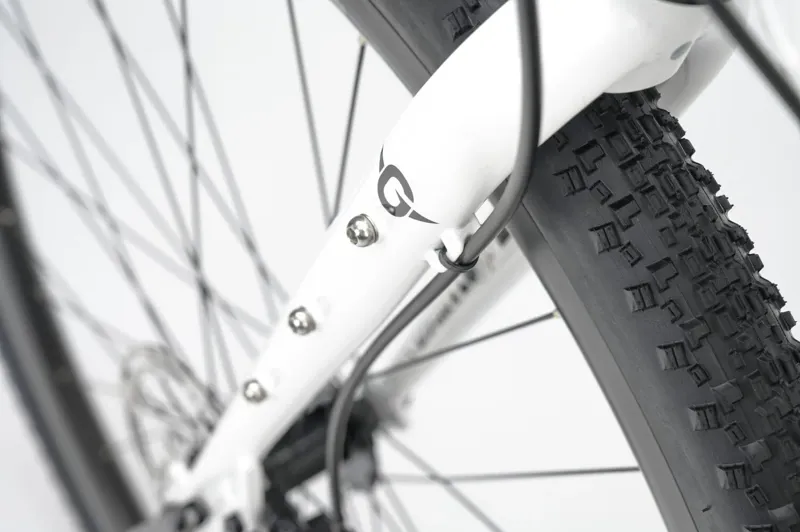 Genesis Croix De Fer 10 2025 Gravel Road Bike - Whitehouse Family-10