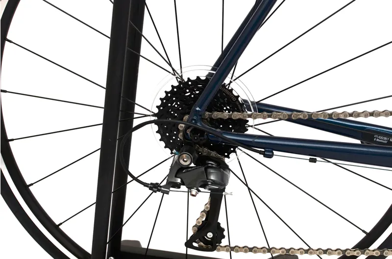 Nearly New Trek Domane AL 2 2024 Endurance Road Bike - 60 cm - Mulsanne Blue/Trek Black-1