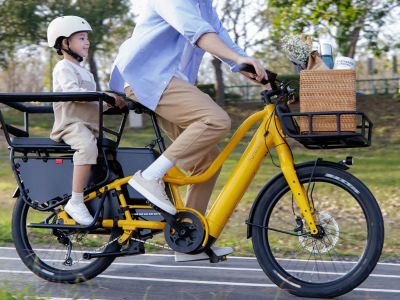 Momentum PakYak E+ Passenger Safety Bars - Black-3