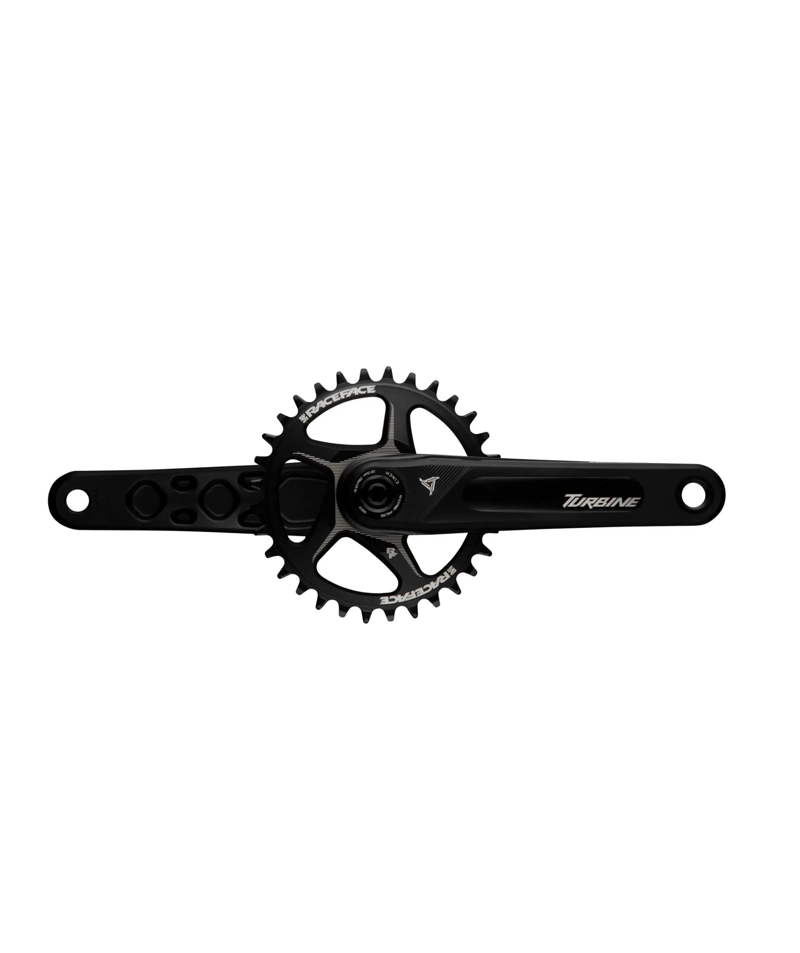 Race Face Turbine Crank Arms Only - Black-1