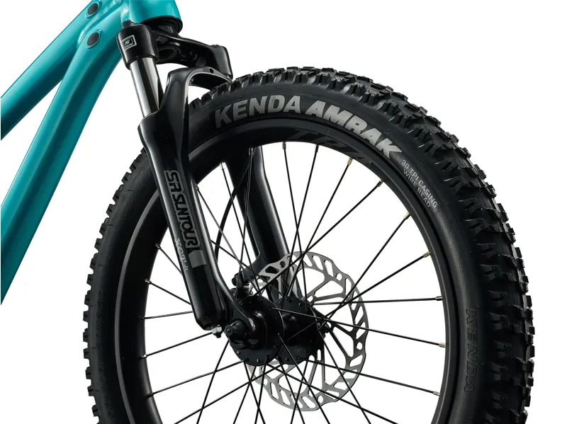 Giant STP 20 FS 20w 2026 Kids Jump Bike - Teal-4