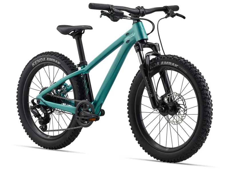 Giant STP 20 FS 20w 2026 Kids Jump Bike - Teal-1