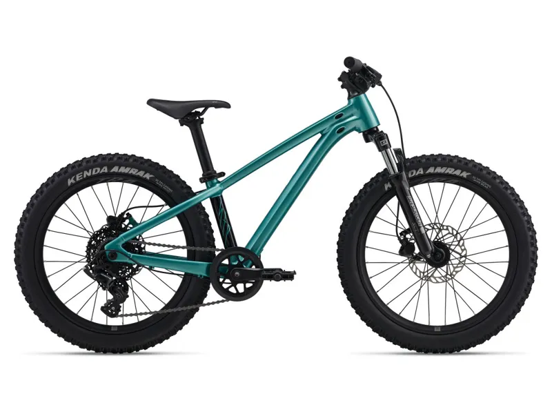 Giant STP 20 FS 20w 2026 Kids Jump Bike - Teal