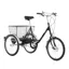 Pashley Picador 2023 Tricycle - Buckingham Black