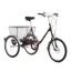 Pashley Picador Tricycle - Burgundy