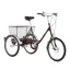 Pashley Picador 2023 Tricycle - Burgundy