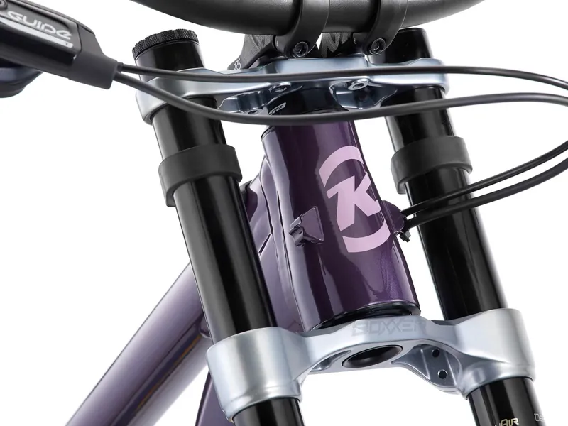 Kona Process X DH 29er/27.5 2025 Full Suspension MTB - Gloss Metallic Grape-12