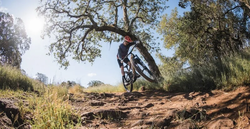 Marin Rift Zone EL XR 29er 2025 Electric Mountain Bike - Tan Brown-4