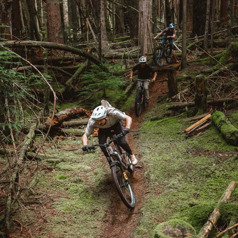 Schwalbe Romy Gravity Pro Radial Folding TLR MTB Tyre - 29 x 2.50-4