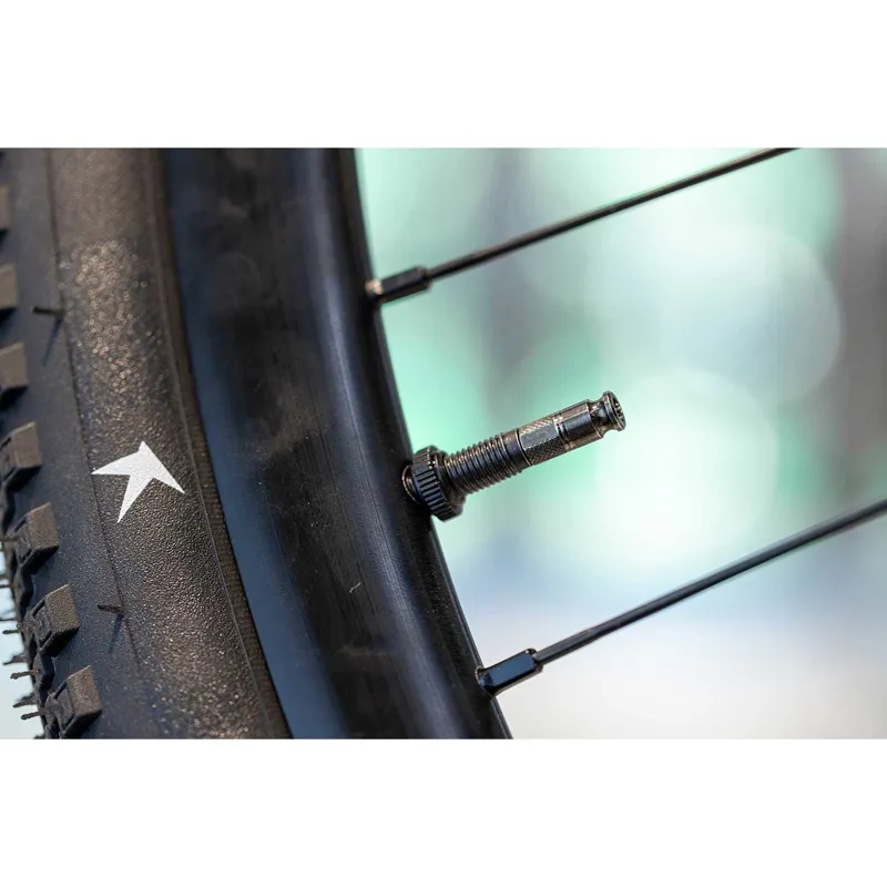 Schwalbe Clik Valve Tubeless Valves - 60mm-1