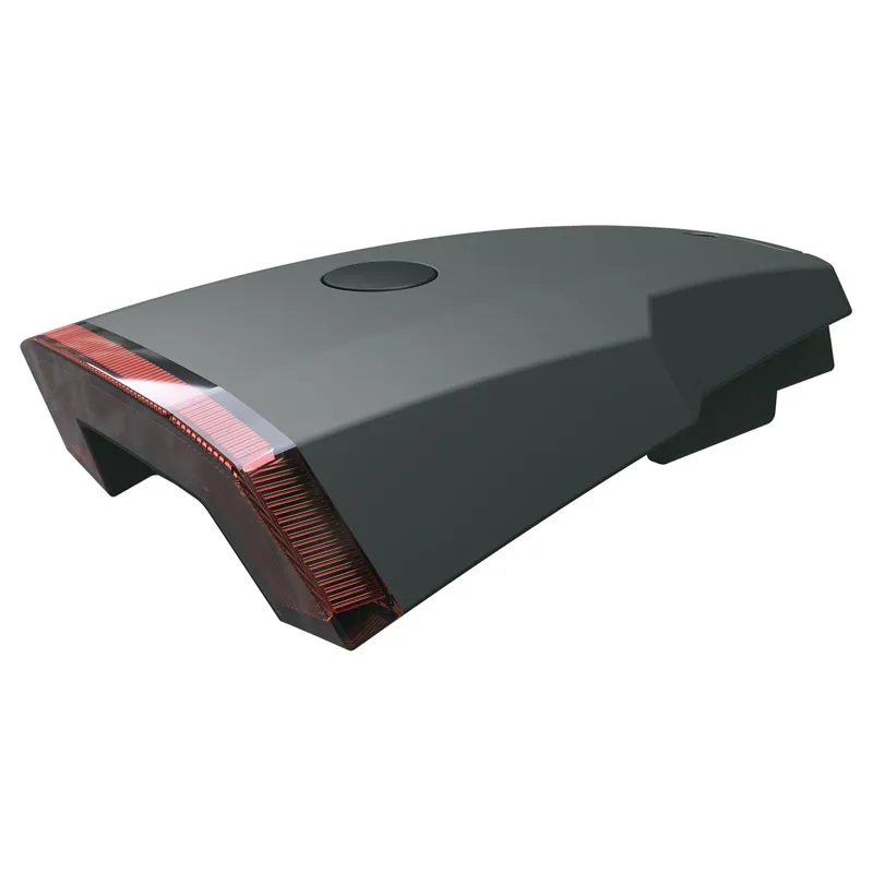 SKS Rowdy Rear USB Mudguard Light - Black