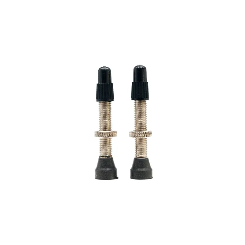 Stans No Tubes Universal Tubeless Valves - Regular - Brass