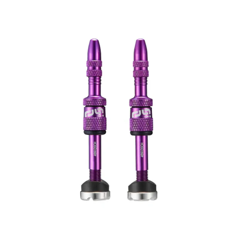 E-Thirteen Quick Fill Presta Tubeless Valves 16-24mm Depth Rims - Eggplant