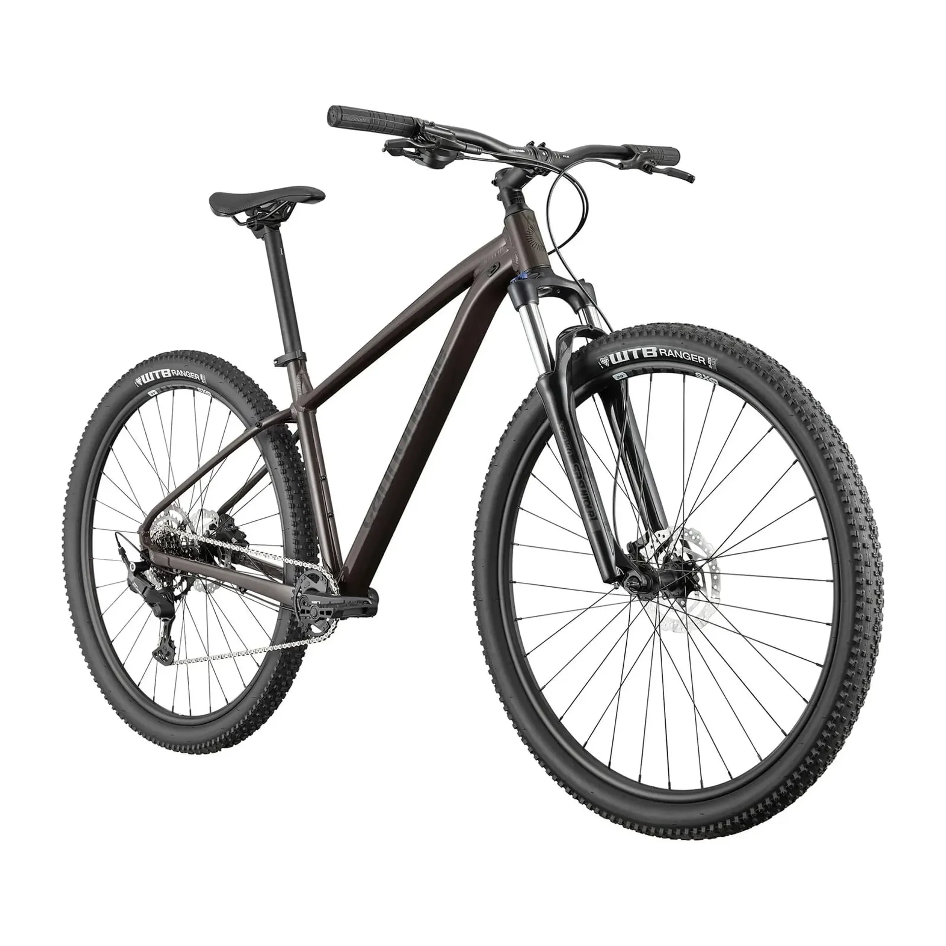 Cannondale Trail 2025 Hardtail Mountain Bike Smoke Black dont list  issue with image