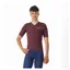 Castelli Premio Evo Men's Short Sleeve Jersey - Deep Bordeaux
