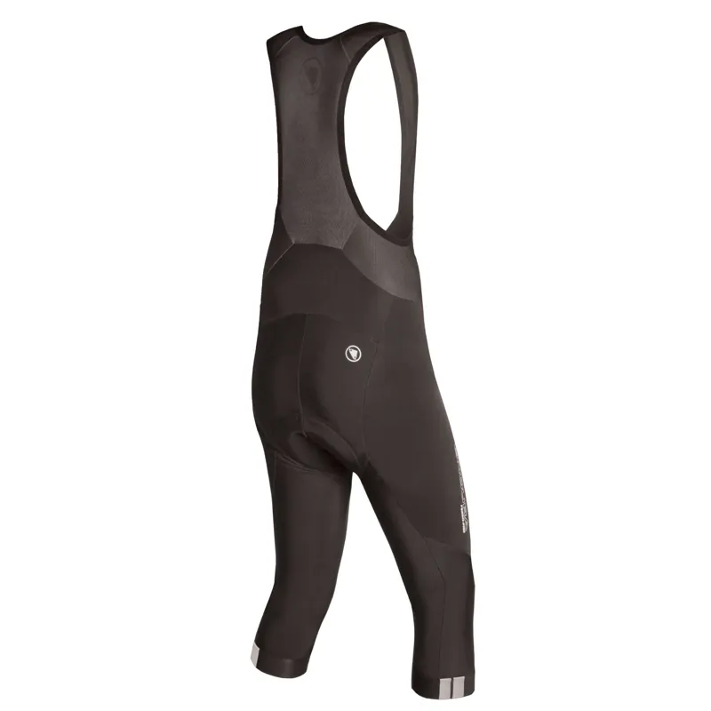 Endura FS260-Pro Thermo Bib knicker - Black-1