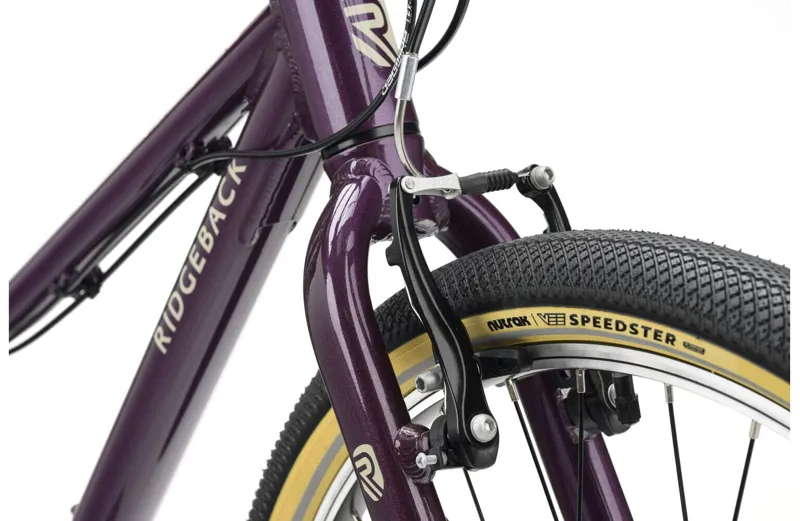 Ridgeback Dimension 24 2026 Kids Bike - Vanquish Violet-4