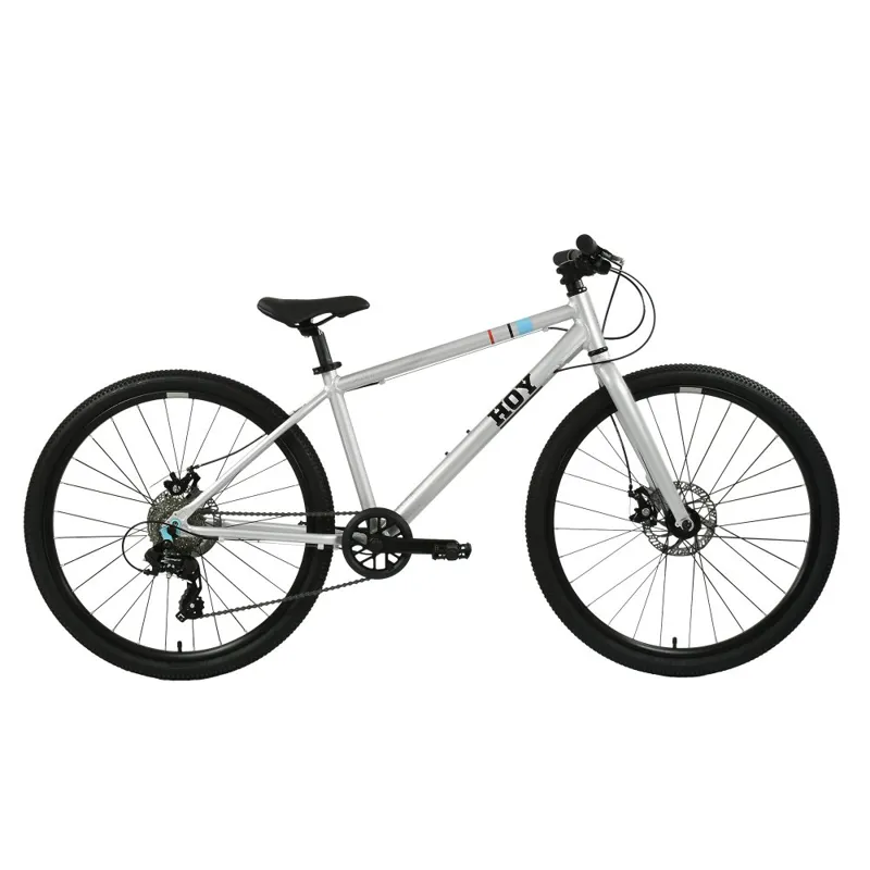 Hoy Pentland 26w 2026 Kids Bike - Titanium Silver