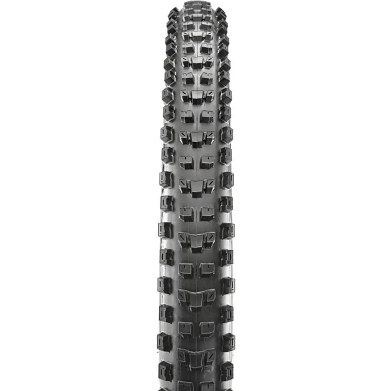 Maxxis Dissector WT TPI Folding 3C MaxxTerra EXO Tubeless Tyre - 29x2.6 inch-1