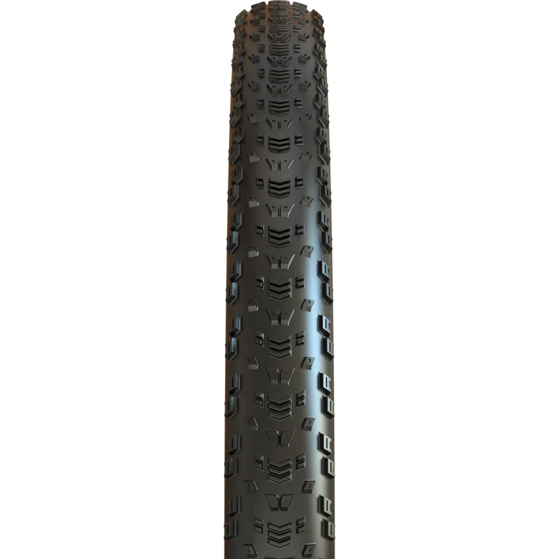 Maxxis Aspen 29x2.40 WT 120 TPI Folding Dual Compound EXO Tubeless Tyre-1