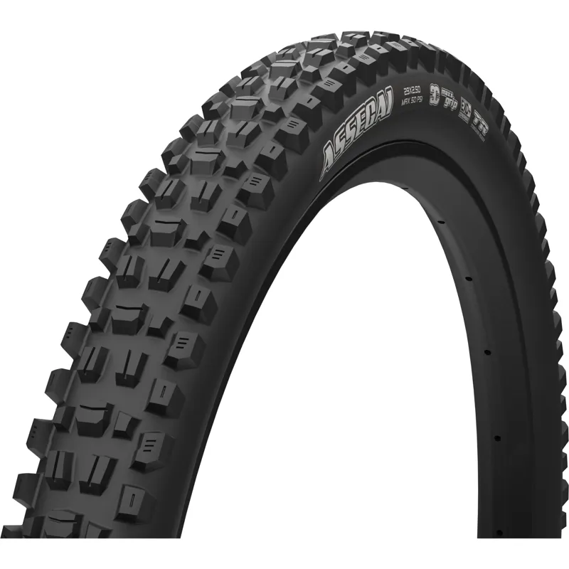 Maxxis Assegai 29 x 2.50 120 TPI Foldable MaxxTerra EXO+ Tubeless Tyre