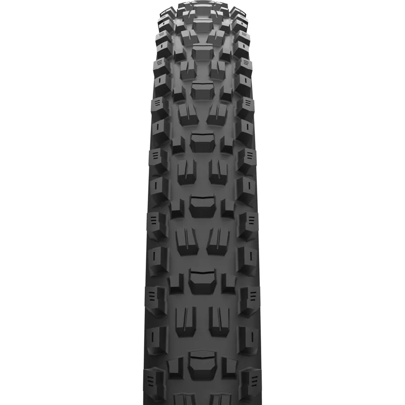 Maxxis Assegai 29 x 2.50 120 TPI Foldable MaxxTerra EXO+ Tubeless Tyre-1