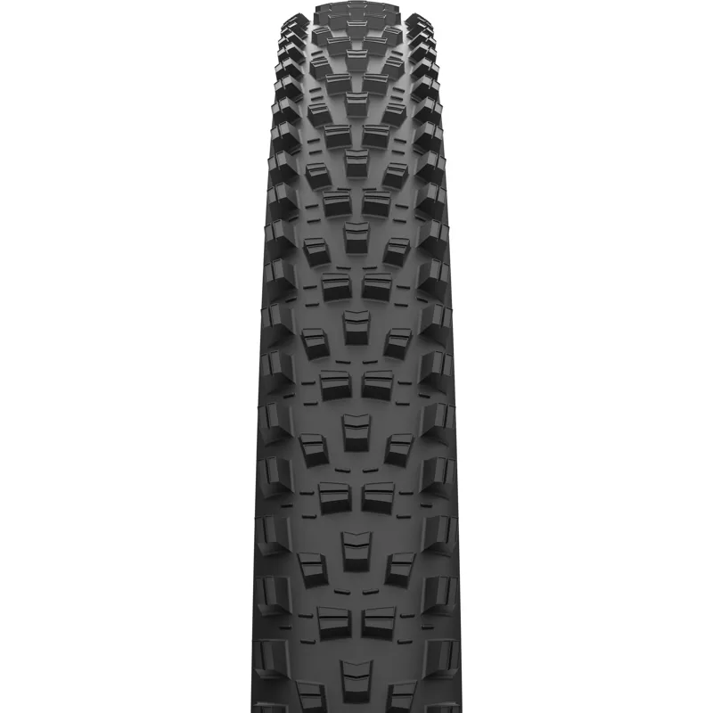 Maxxis Forekaster 29 x 2.40 60 TPI Folding MaxxTerra EXO+ Tubeless Tyre-1