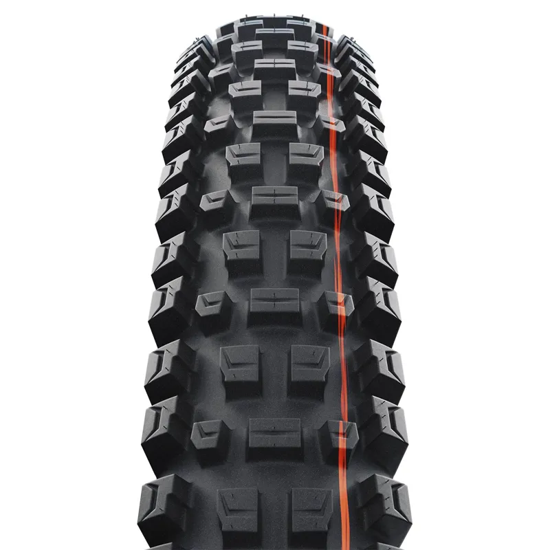 Schwalbe Albert Gravity Pro Radial Soft TLR Folding MTB Tyre - 29 inch - Black-1