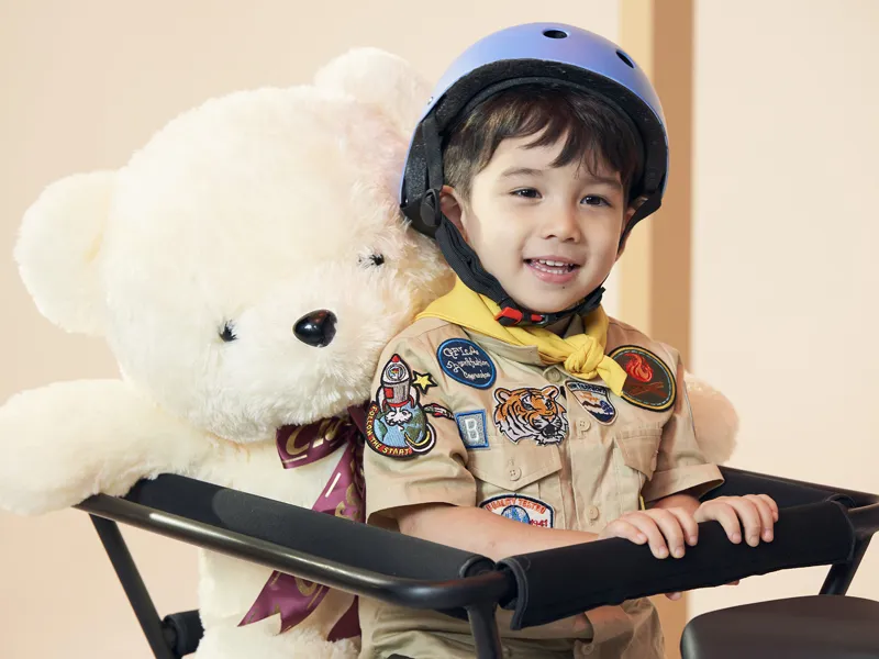 Momentum PakYak E+ Passenger Safety Bars - Black-2