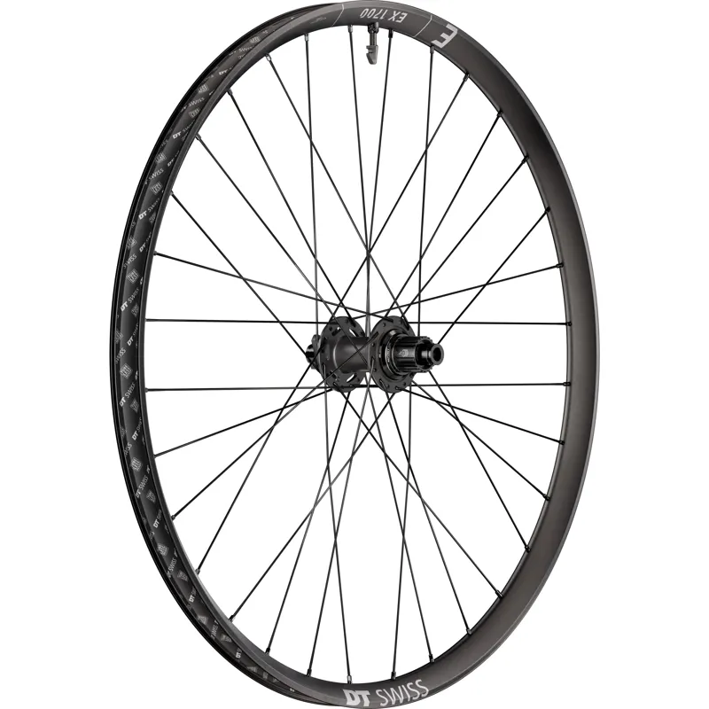 DT Swiss EX 1700 30mm Rim 12x148mm BOOST 29er Rear Wheel - Micro Spline