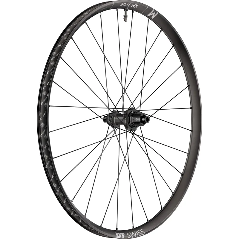 DT Swiss XM1700 30mm Rim Centre Lock 12x148mm BOOST 29er Rear Wheel - Micro Spline