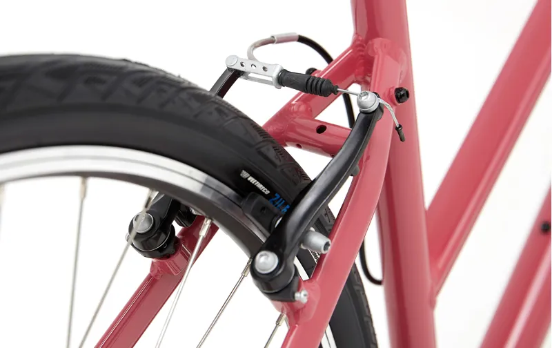 ridgeback motion open frame