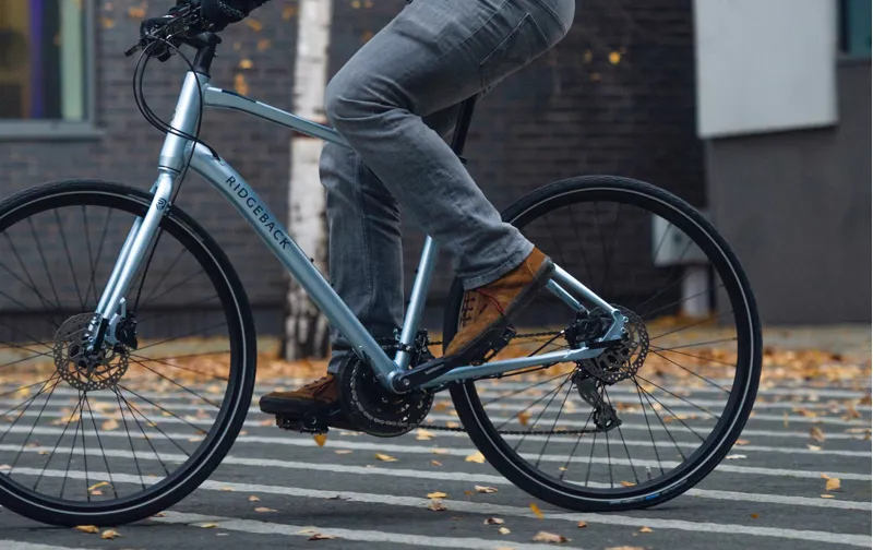 ridgeback vanteo review